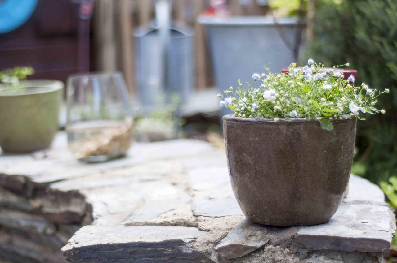 Maison D'Hotes Ti-Gwenn Pace エクステリア 写真